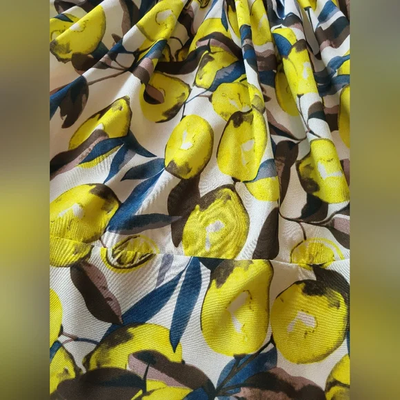 Elodie Cottagecore Lemon Sleeveless Mini Dress w/Buttons & Collar, Size Small - Picture 13 of 15